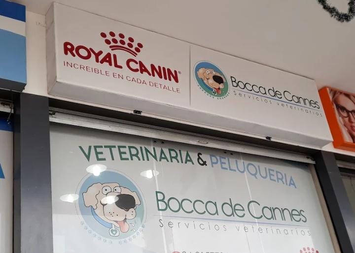 Veterinaria-veterinaria-bocca-de-cannes-6939