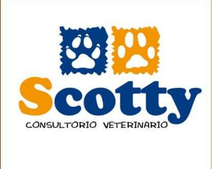 Veterinaria SCOTTY-526