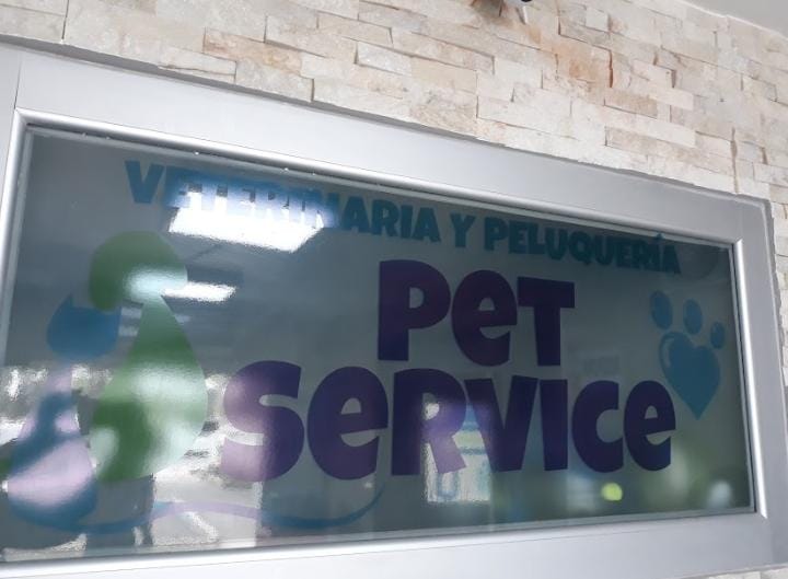 Pet Service-528