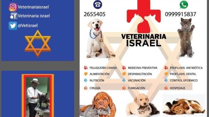 Veterinaria Israel-587