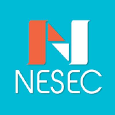 Seguros - NESEC