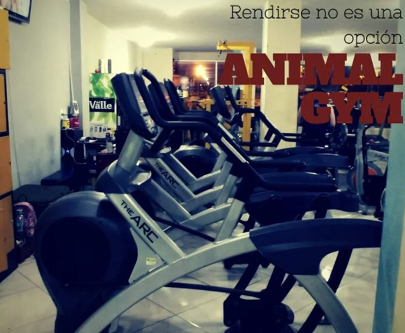 Gimnasio-animal-gym-8121