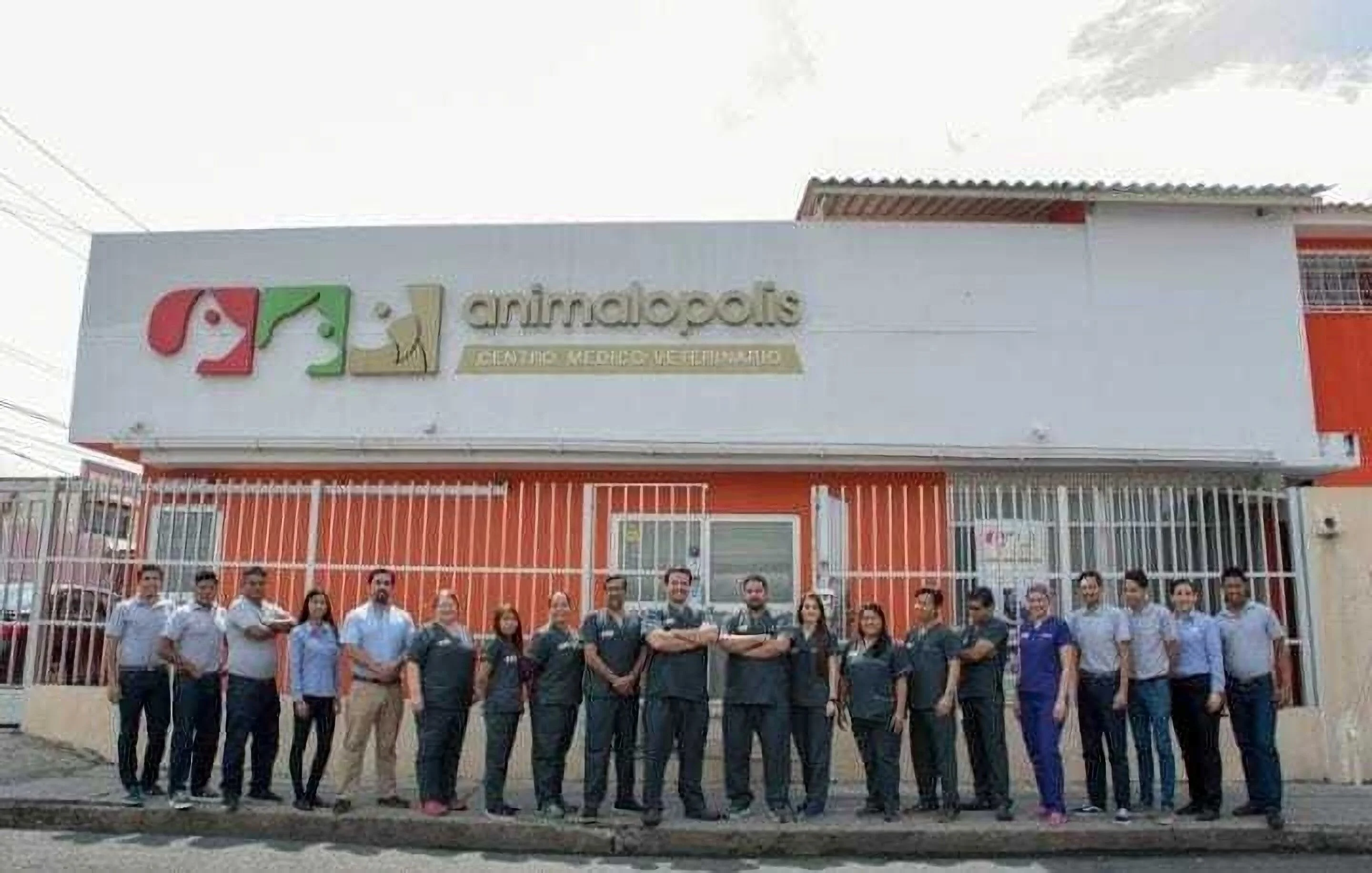 Veterinaria-animalopolis-hospital-clinica-veterinaria-8172