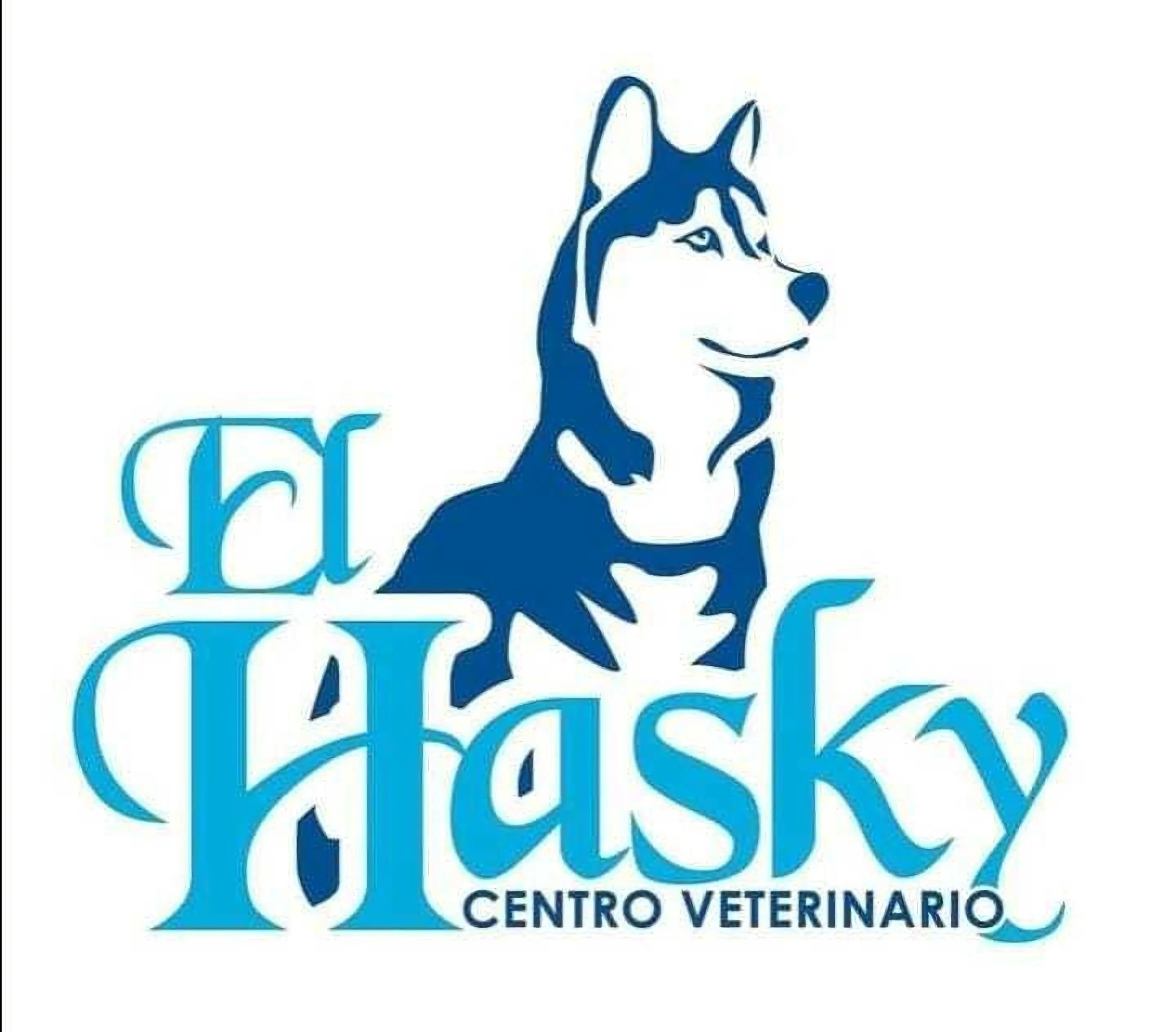 Centro Veterinario El Hasky-476