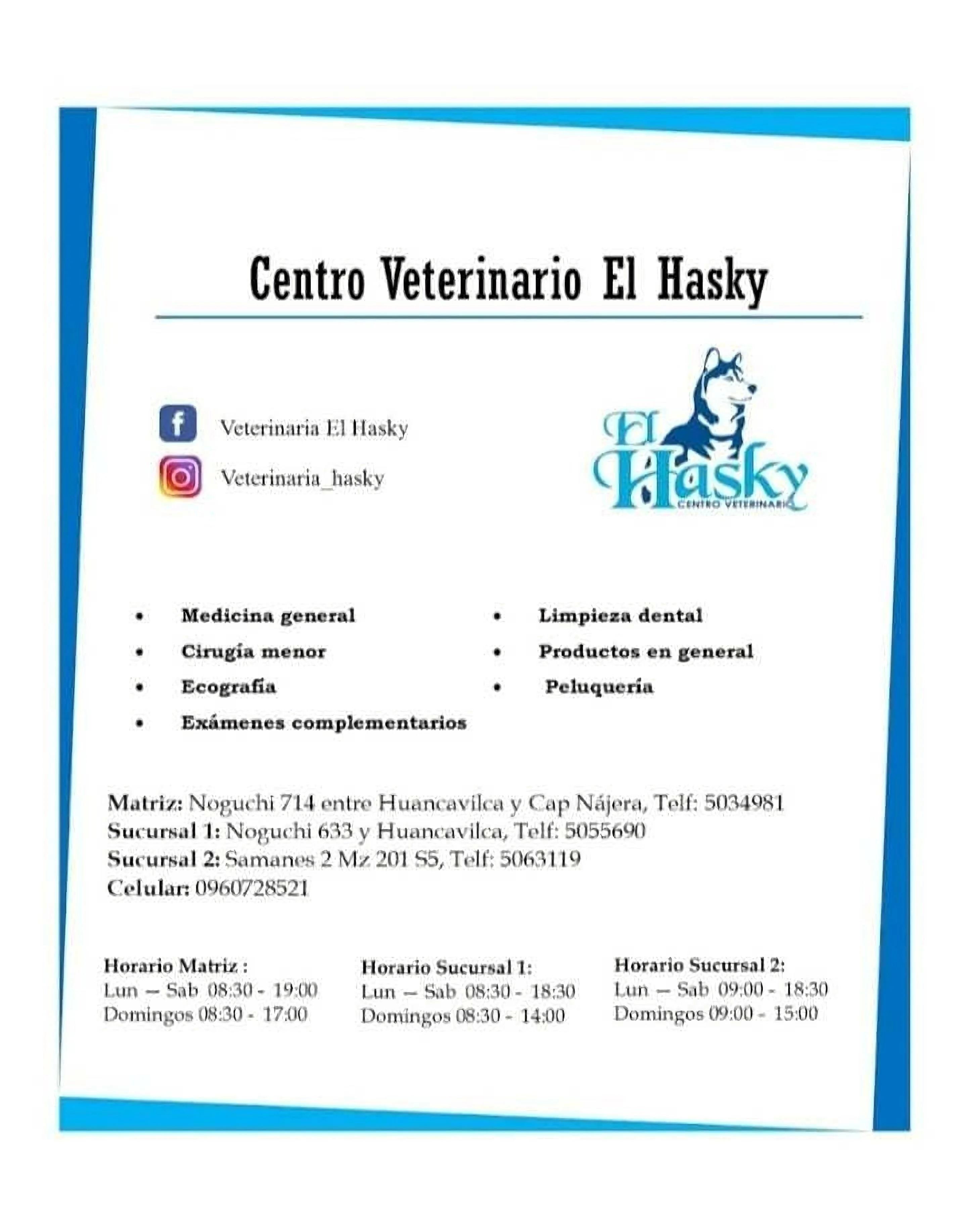 Veterinaria-centro-veterinario-el-hasky-2-3-8447