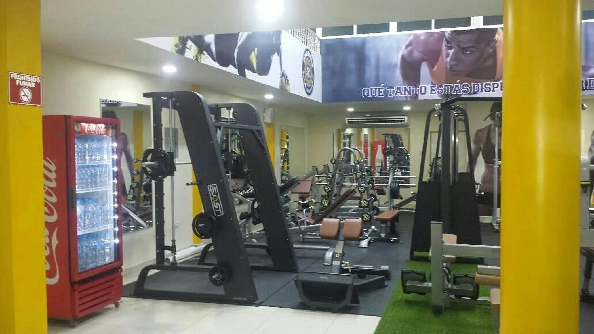 Gimnasio-dharmas-vegan-gym-fitness-8575