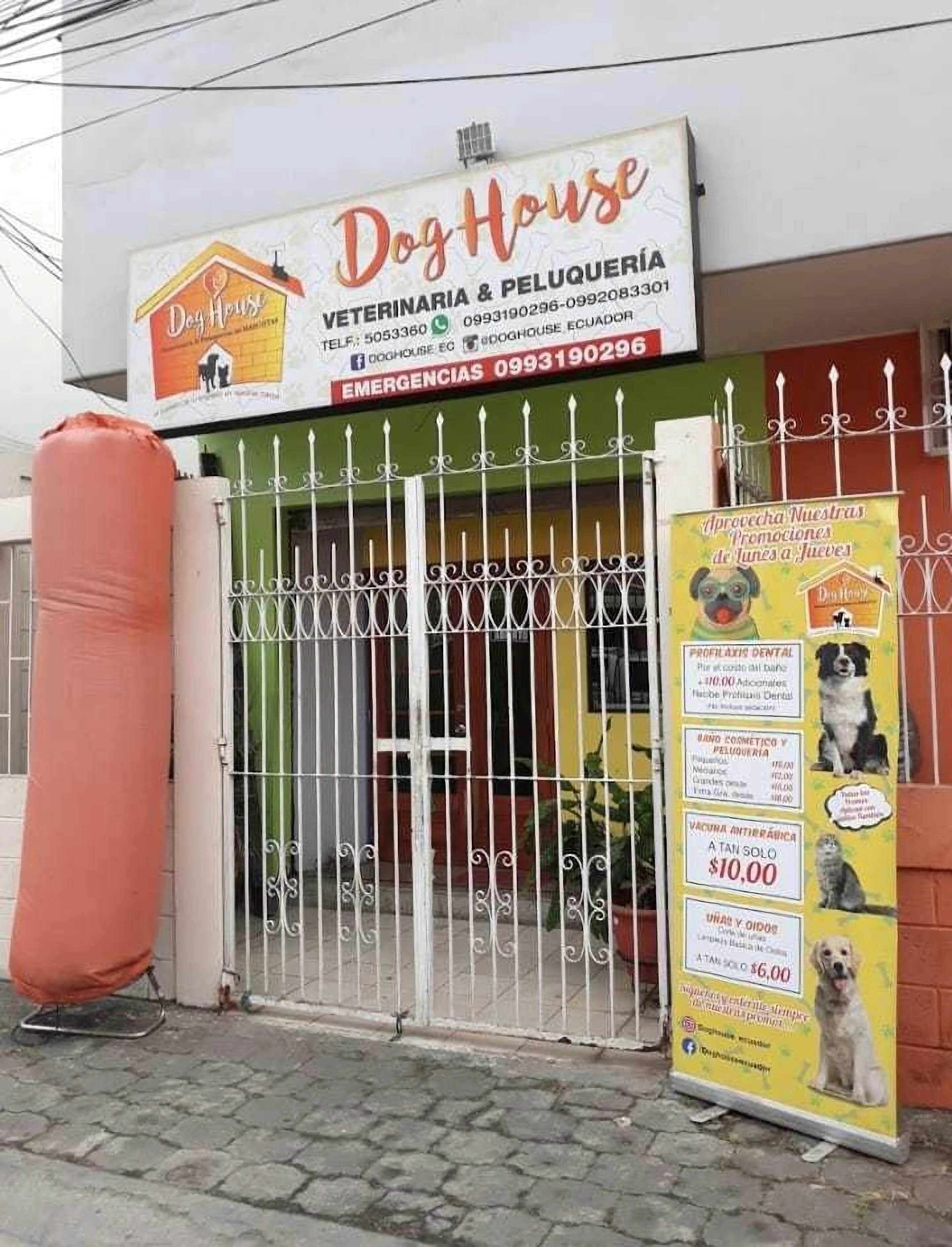 Doghouse Ecuador-697