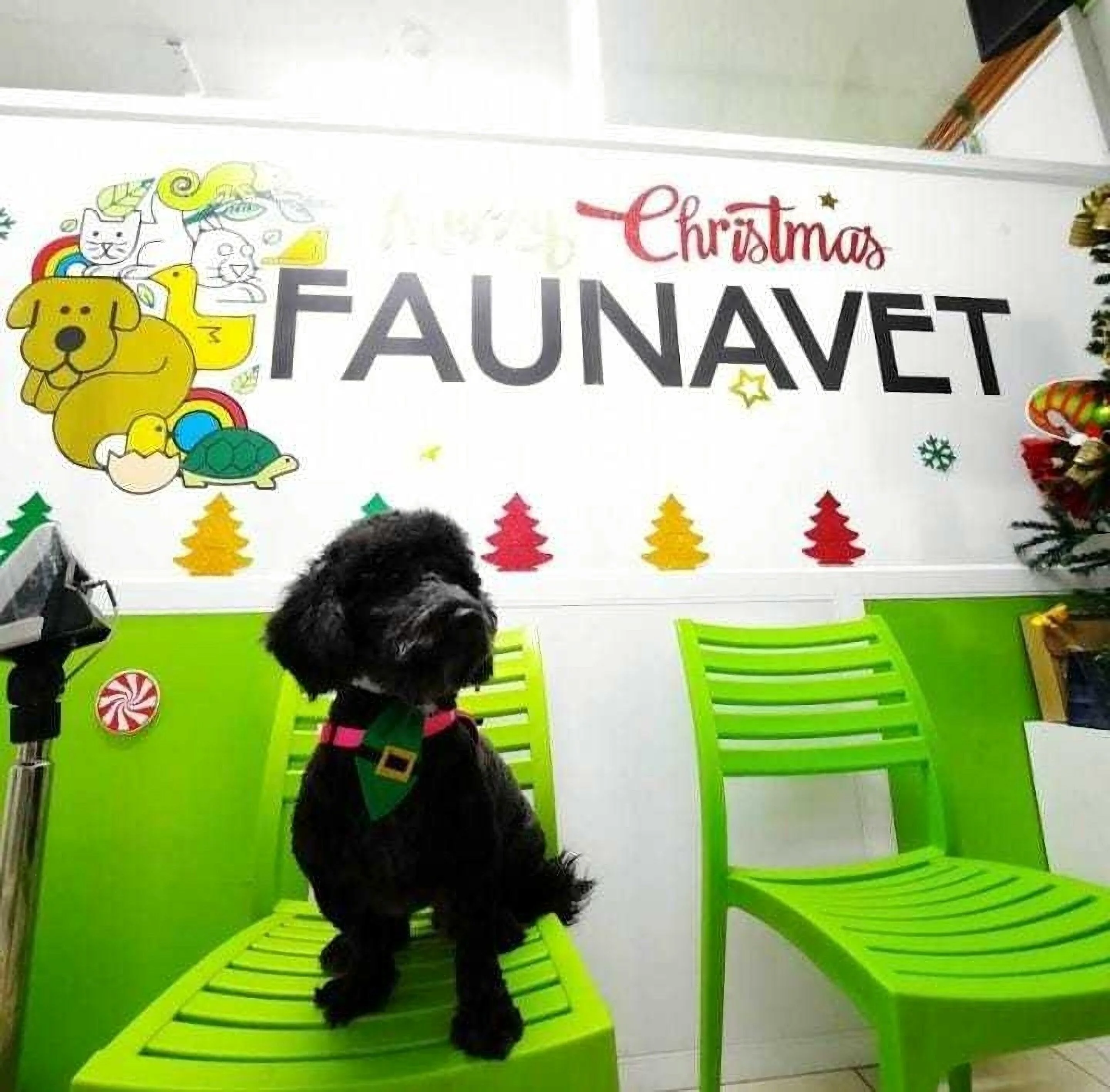 Veterinaria-faunavet-8717