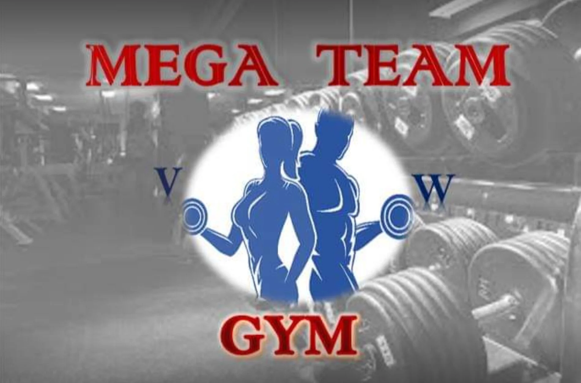 Gimnasio-gimnasio-mega-team-vw-8758