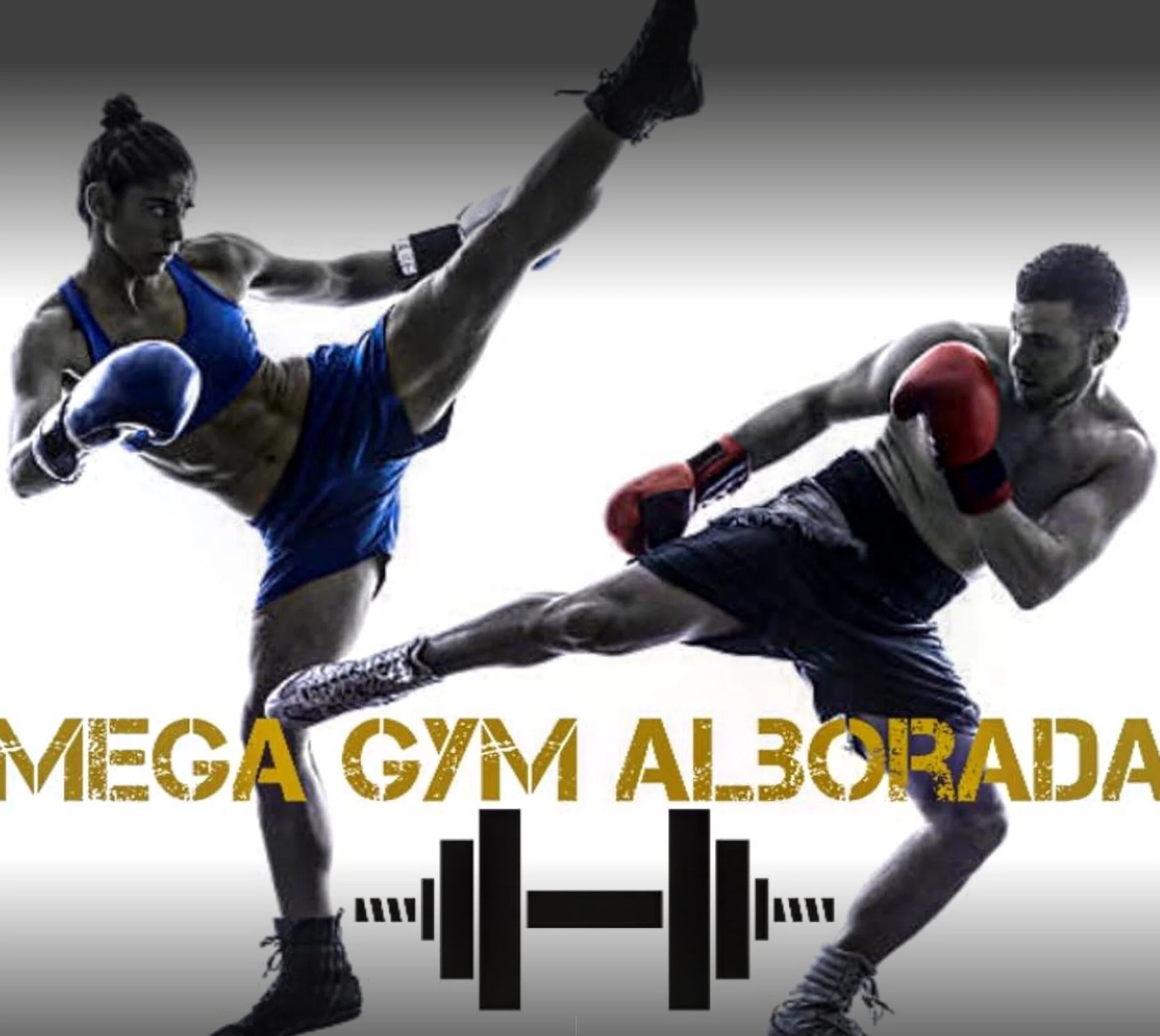 Gimnasio-mega-gym-alborada-14-9367