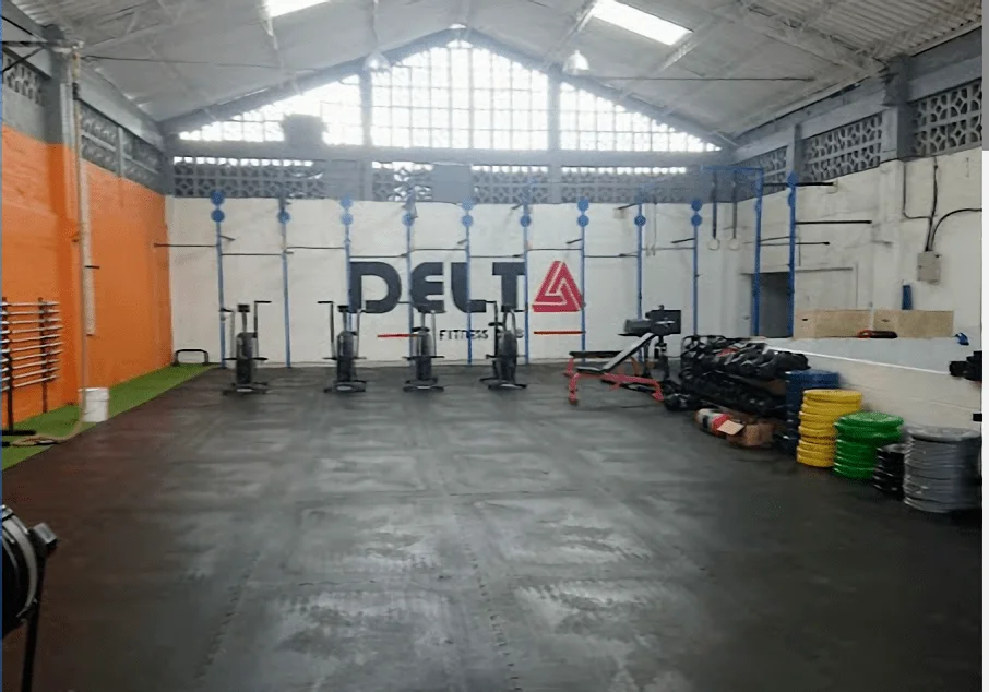 Crossfit-delta-fitness-club-crosstrainning-9495