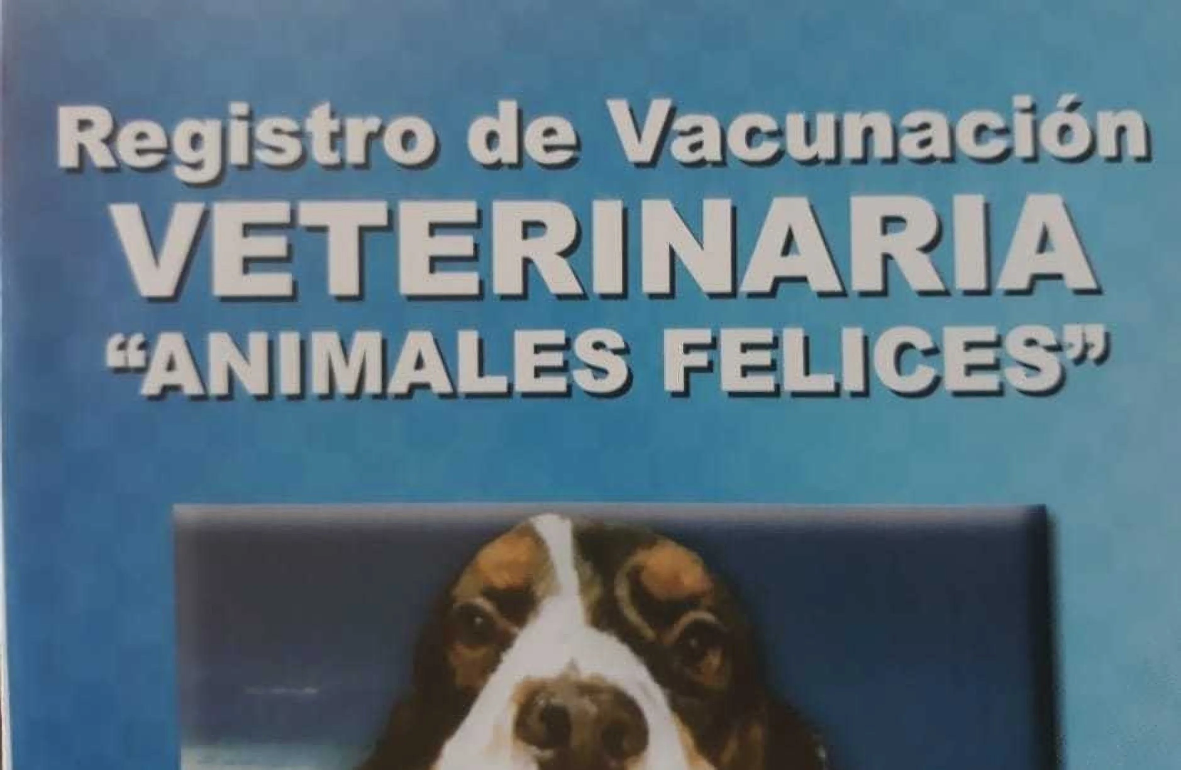 Veterinaria Animales Felices-699