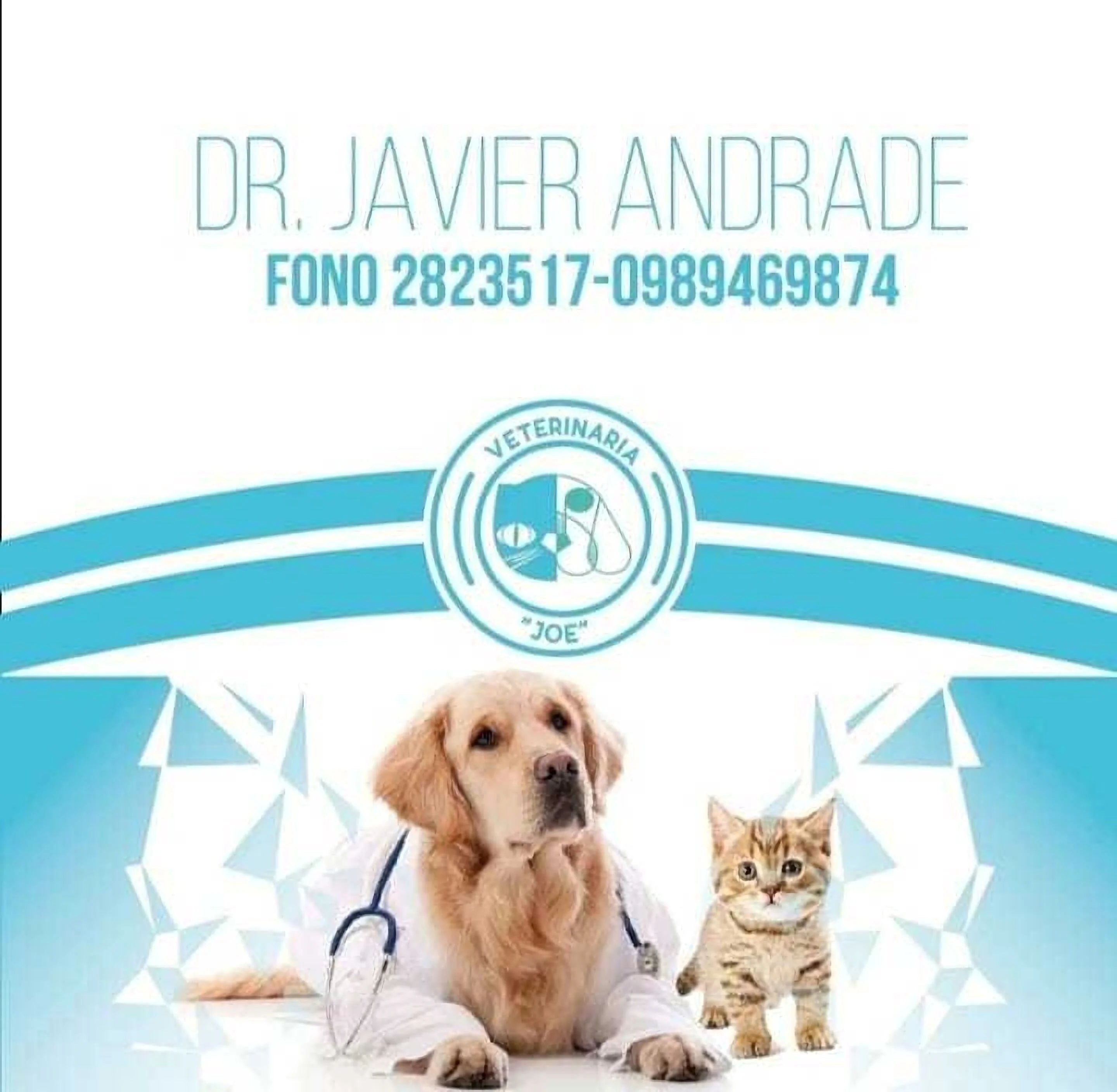 Veterinaria-veterinaria-joe-9570