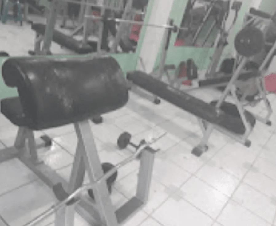 Gimnasio-fit-gym-9625