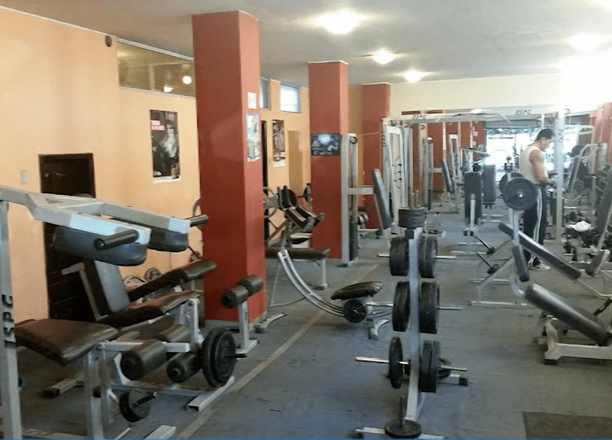 Gimnasio-flexers-gym-9666