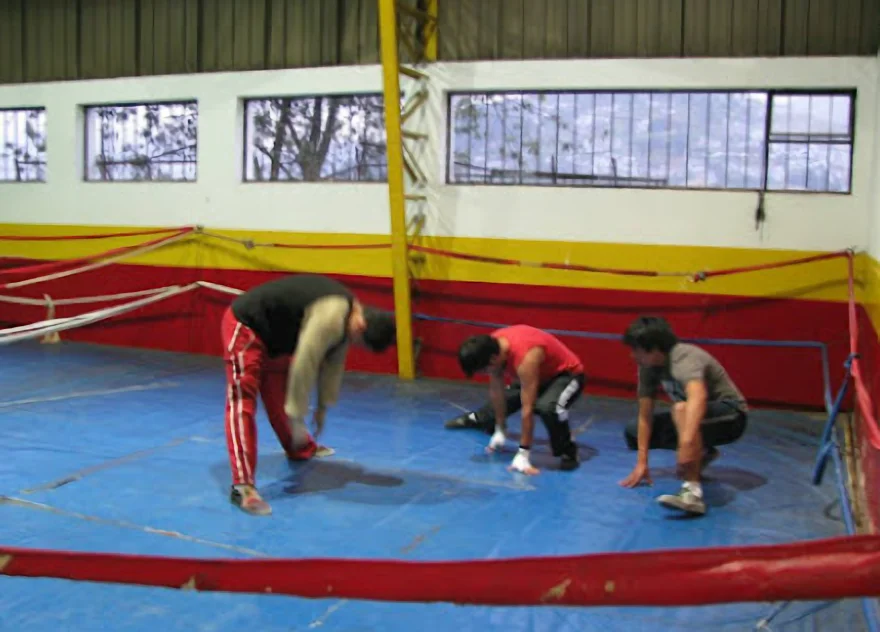 Gimnasio-gimnasio-de-boxeo-la-tola-9729