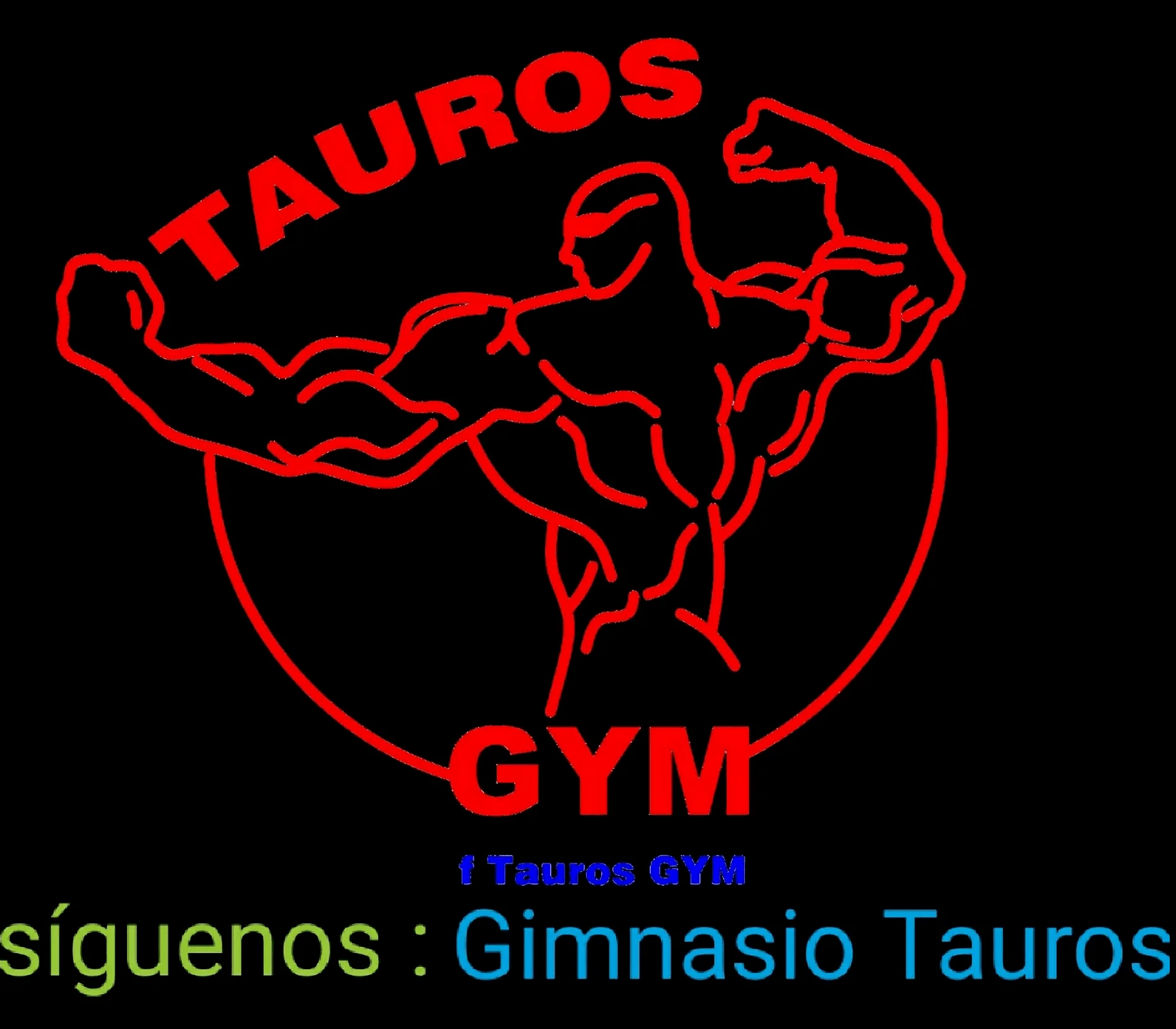 Gimnasio-gimnasio-tauros-9843