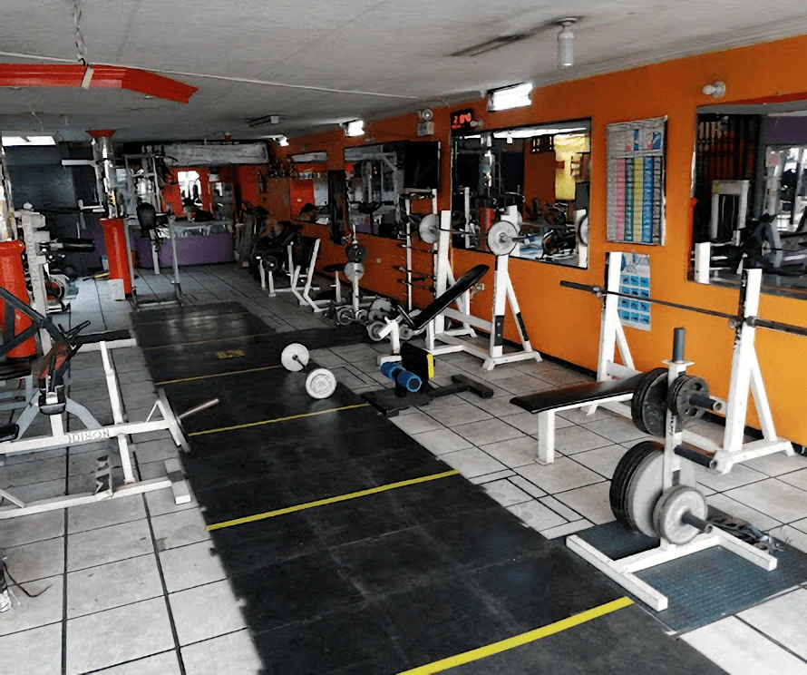 Gimnasio-gimnasio-xtream-power-gym-9847